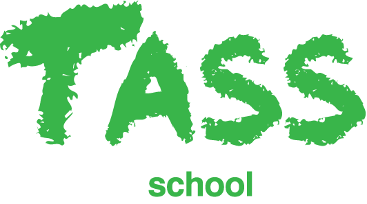 The Alpha School System